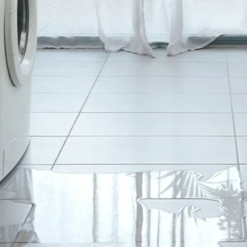 Appliance Leak Cleanup in Fernandina Beach, FL